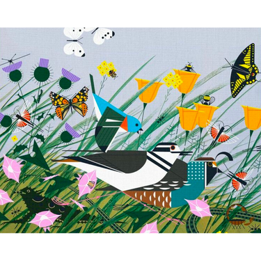Charley Harper: Once There Was a Field