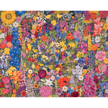 Rosalind Wise: Flower Cycle