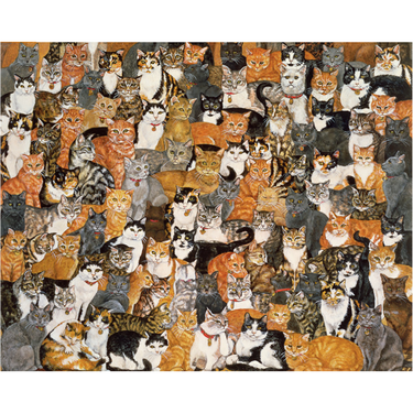 Ditz: Double Cat-Spread