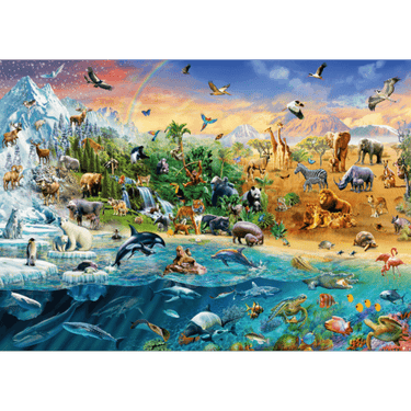Animal Kingdom - Thirsty Meeples