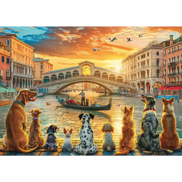 At the Pier - Thirsty Meeples