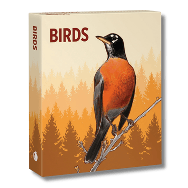 Birds Knowledge Cards - Thirsty Meeples