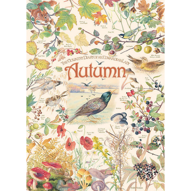 Country Diary: Autumn - Thirsty Meeples