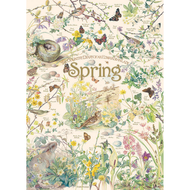 Country Diary: Spring - Thirsty Meeples