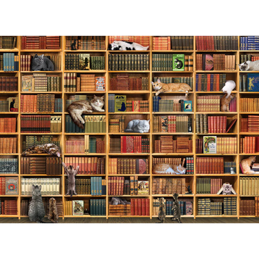 Cat Library - Thirsty Meeples