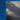 #option_blue-corner-crush
