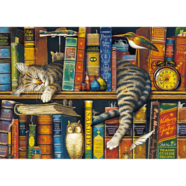 Charles Wysocki: Frederick the Literate - Thirsty Meeples