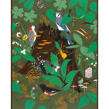Charley Harper: Woodland Wonders - Thirsty Meeples