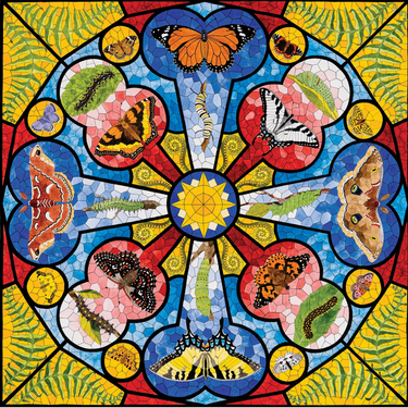 David Cohen: Butterfly Rose Window - Thirsty Meeples