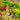 Family board game Ishtar: Gardens of Babylon by IELLO featuring colorful artwork and game components on a table.