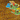 Life of the Amazonia - Thirsty Meeples