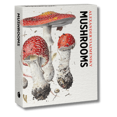 Mushrooms: Alexander Viazmensky Knowledge Cards - Thirsty Meeples