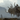 Ruins of Symbaroum RPG: The Throne of Thorns I - Thirsty Meeples