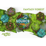 SOURCE: Starter Fantasy Forest (PRE-ORDER) - Thirsty Meeples