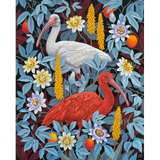 Vasilisa Romanenko: Ibises