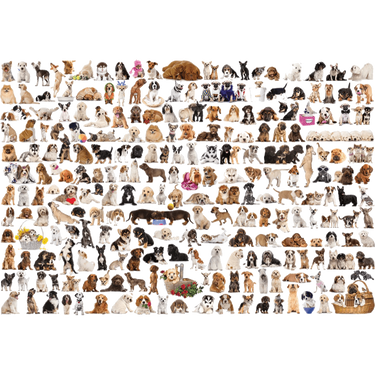 The World of Dogs jigsaw puzzle artwork