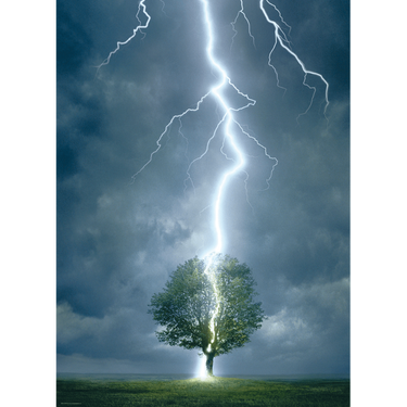 Lightning Striking Tree