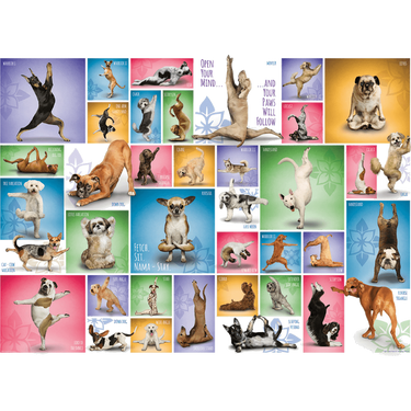 Yoga Dogs
