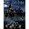 World of Harry Potter Collector's Puzzle (550 Pieces)
