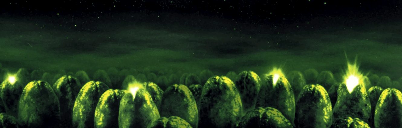 Aliens: Another Glorious Day in the Corps