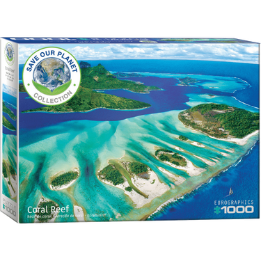 Coral Reef