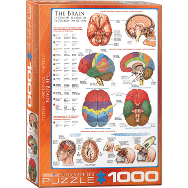 The Brain jigsaw puzzle box