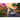 Look & Find No.1 - Enchanted Lands