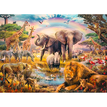 African Safari