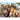 Selfies: Horsing Around
