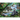 Jungle Families