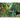 Jungle
