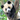Wildlife