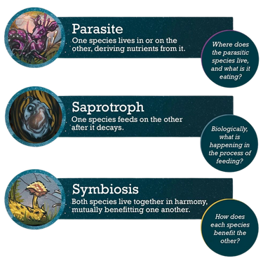 Assemblage RPG - Thirsty Meeples