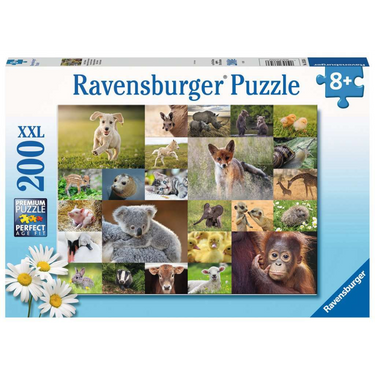 Baby Animals