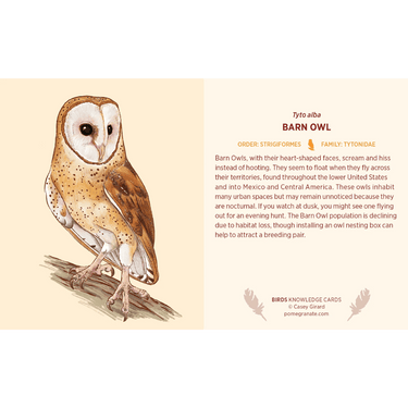 Birds Knowledge Cards - Thirsty Meeples
