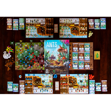 Ants board game - components set up for play
