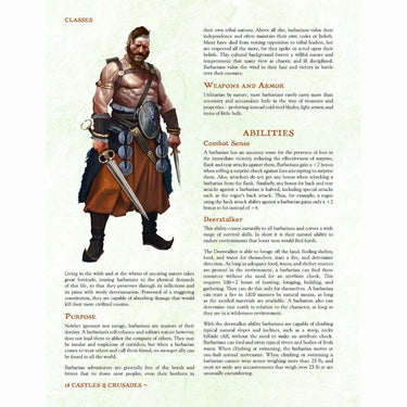 Castles & Crusades RPG (Reforged): Players Handbook