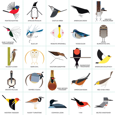 Charley Harper’s Bird Bingo - Thirsty Meeples