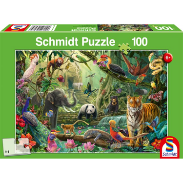 Colourful Jungle Wildlife