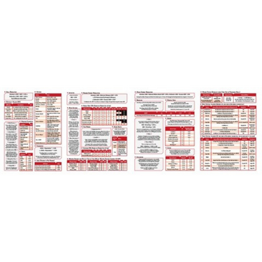 Cyberpunk RED RPG: Gamemaster Screen