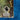 #option_blue-corner-crush