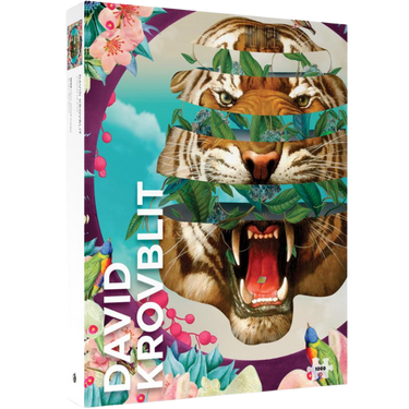 David Krovblit: Vision Quest