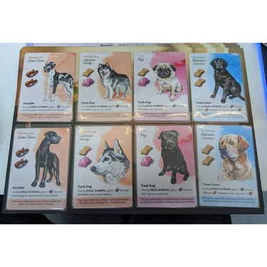 Dog Park
