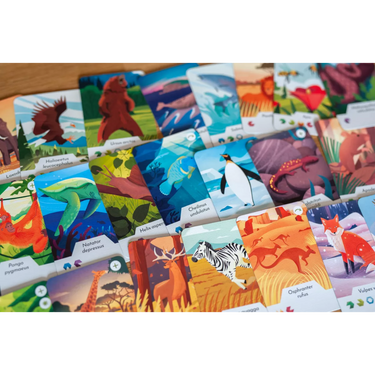 Ecosfera - Thirsty Meeples