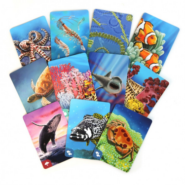 Ecosystem: Coral Reef - Thirsty Meeples