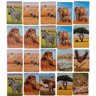 Ecosystem: Savanna - Thirsty Meeples