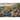 Vintage Car Rally