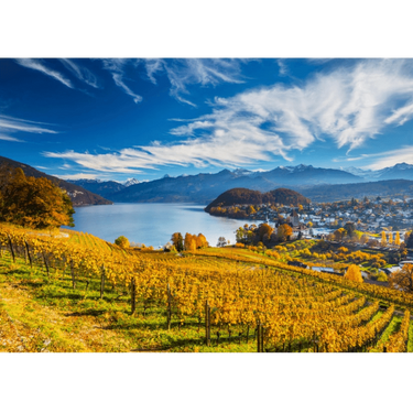 Vineyards