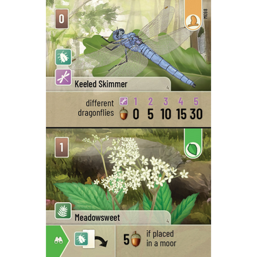 Forest Shuffle: Dartmoor - Thirsty Meeples