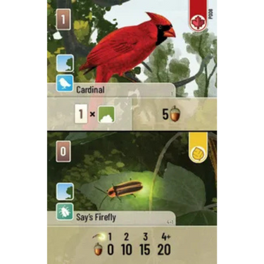 Forest Shuffle: Exploration